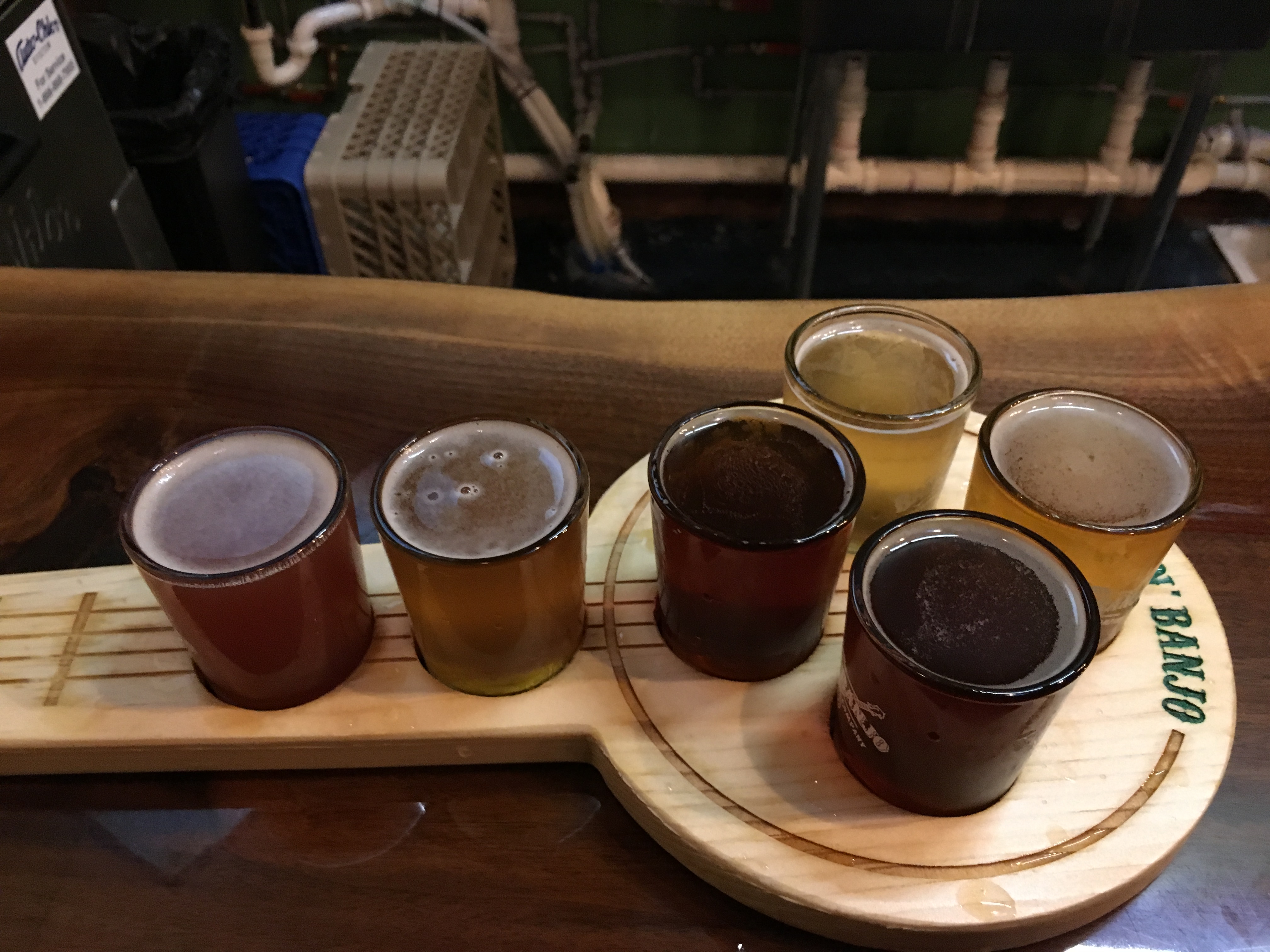 Beer Samples