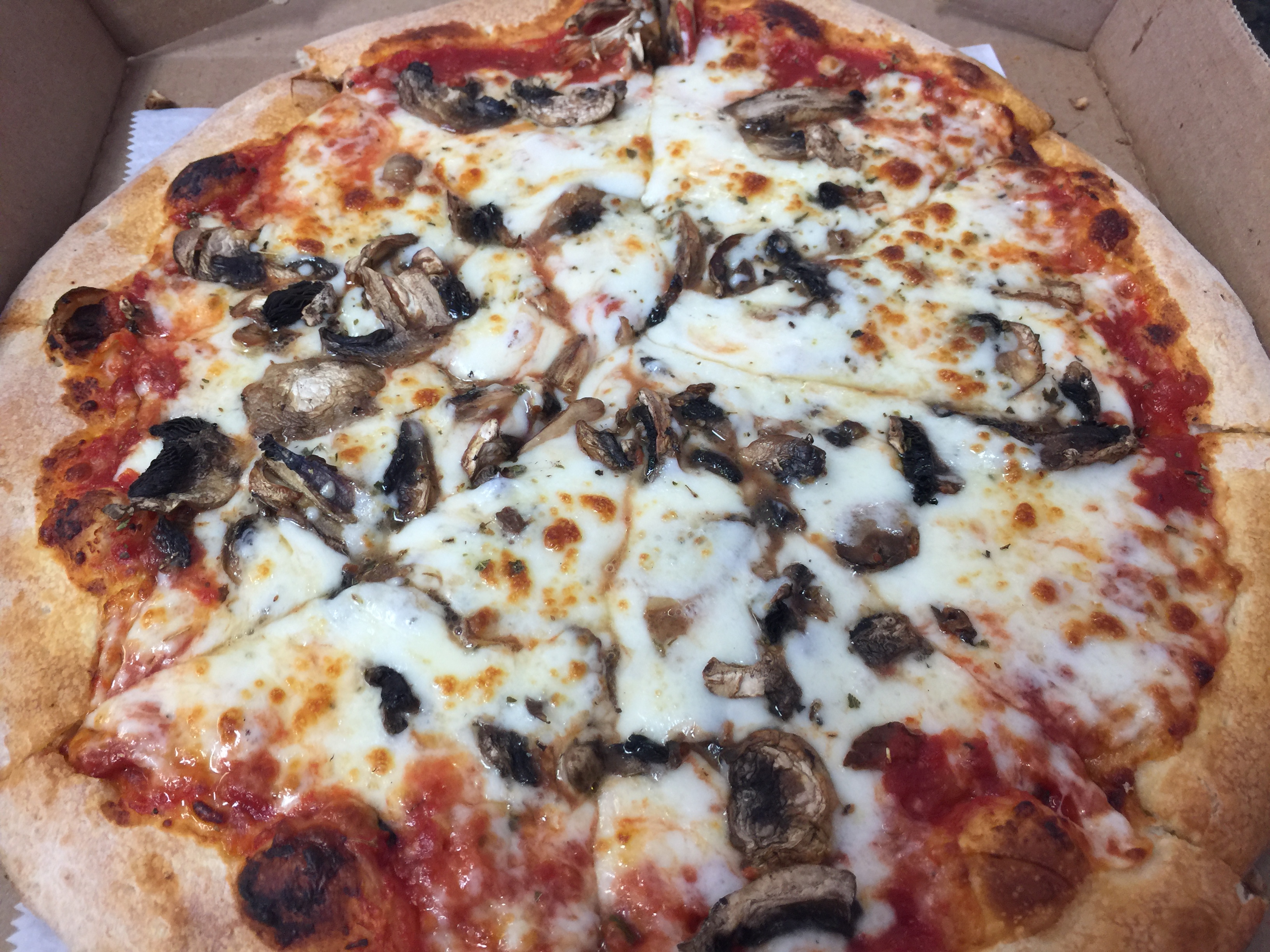Large Mushrooms and Extra Cheese Pizza